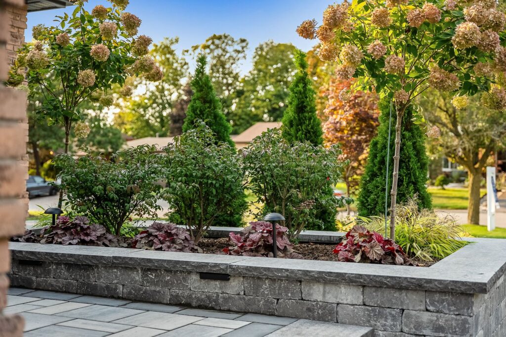 A landscaped garden bed with flowering shrubs, small trees, and ground cover plants bordered by a low stone wall beside a paved patio area.